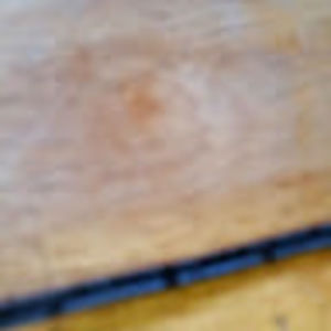 Meet your Posher, Judy